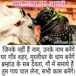 गाय पर शायरी, गाय माता पर शायरी, गौमाता पर शायरी, गाय शायरी, गाय की शायरी, गाय के लिये शायरी, गाय पर कुछ शायरी, गाय पर बेस्ट शायरी, गाय हेतु शायरी, गाय बचाओ शायरी, गैया माता पर शायरी, गौवंश पर शायरी, गौधन पर शायरी, गाय शायरी इन हिंदी, गाय माता पर शायरी इन हिंदी, गाय पर शायरी इन हिंदी, गौमाता पर शायरी इन हिंदी, गाय के लिये शायरी इन हिंदी, cow poetry in hindi, cow poem in hindi, cow poem hindi lyrics, cow poetry hindi lyrics, cow shayari in hindi, gaay shayari in hindi lyrics, gaay par shayari in hindi, gaay shayari in hindi, gay shayari in hindi, gay par shayari in hindi, गौ रक्षा पर कविता, गौ माता की शायरी, गौ रक्षा शायरी, गौ माता शायरी इन हिंदी, गौ माता स्टेटस, गौ माता status, गौ माता स्टेटस इन हिंदी, गौ माता कोट्स इन हिंदी, गौमाता शायरी इन हिंदी, गौमाता शायरी, गौ माता के नारे, गौमाता स्लोगन इन हिंदी, कामधेनु शायरी, कृष्ण की गाय पर शायरी, गाय पर शार्ट पोएम, गाय पर छोटी कविता, गौमाता पर कविता, गौमाता पर मार्मिक कविता, गौमाता पर कविता इन हिंदी, गौमाता पर चार पंक्तियाँ, काऊ शायरी इन हिंदी, काऊ पर शायरी, काऊ पर कविता, काऊ पर बच्चों के लिये कविता, gaumata par shayari in hindi, gaumata shayari hindi, gaumata shayari video, gaay par video, gaay par kavita hindi